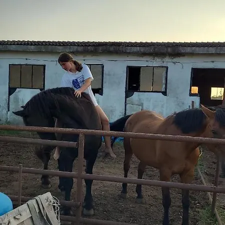 Maddy Apartament Porto Viro